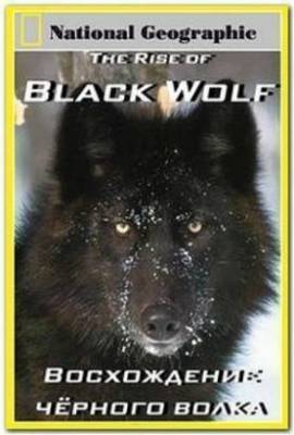 Восхождение черного волка (2012)