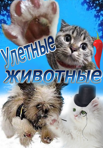 Улетные животные (2013) Перец