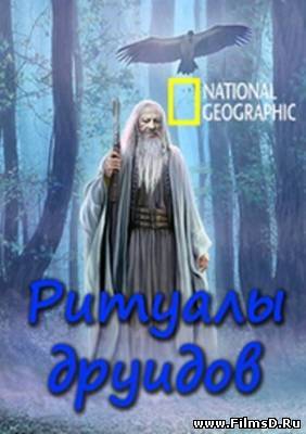 National Geographic. Ритуалы друидов (2008)