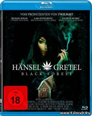 Темный лес: Ганс, Грета и 420-я ведьма (2013)