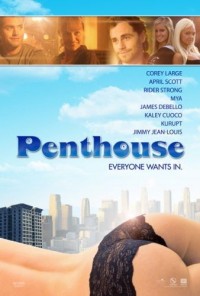 Пентхаус (2010)