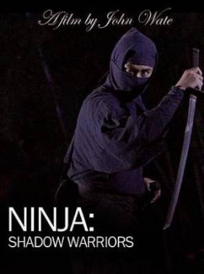 Ниндзя: Воины-тени (2011)
